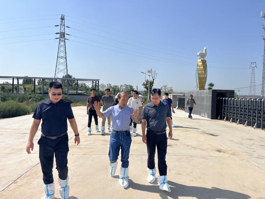 图片4.jpg